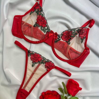 conjunto leonora em tule bordado